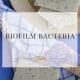 Biofilm