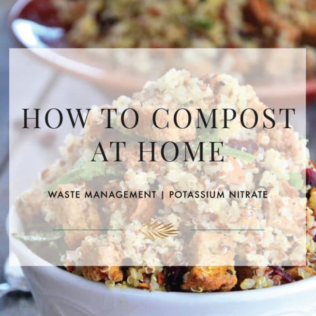 How to Compost at Home