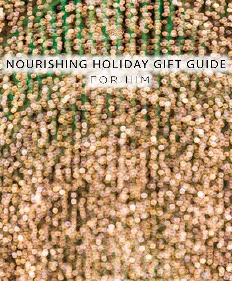 holiday gift guide for him