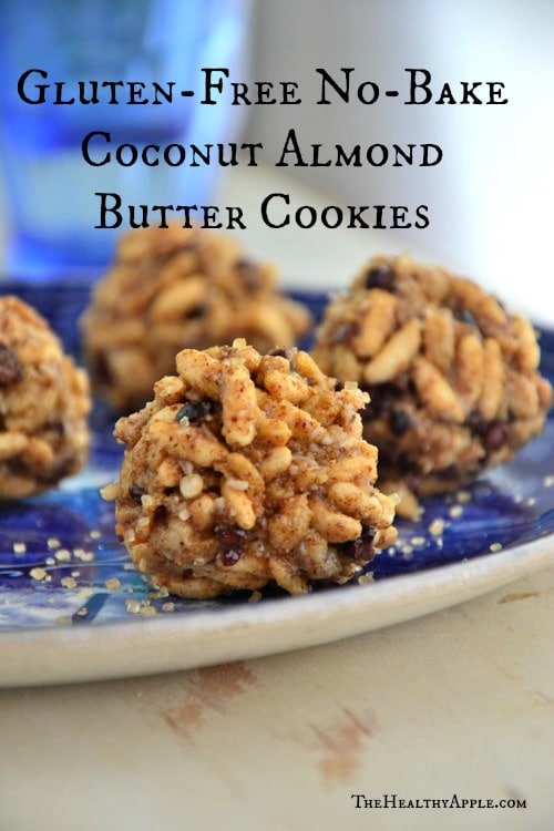 Gluten-Free No-Bake Coconut Almond Butter Cookies