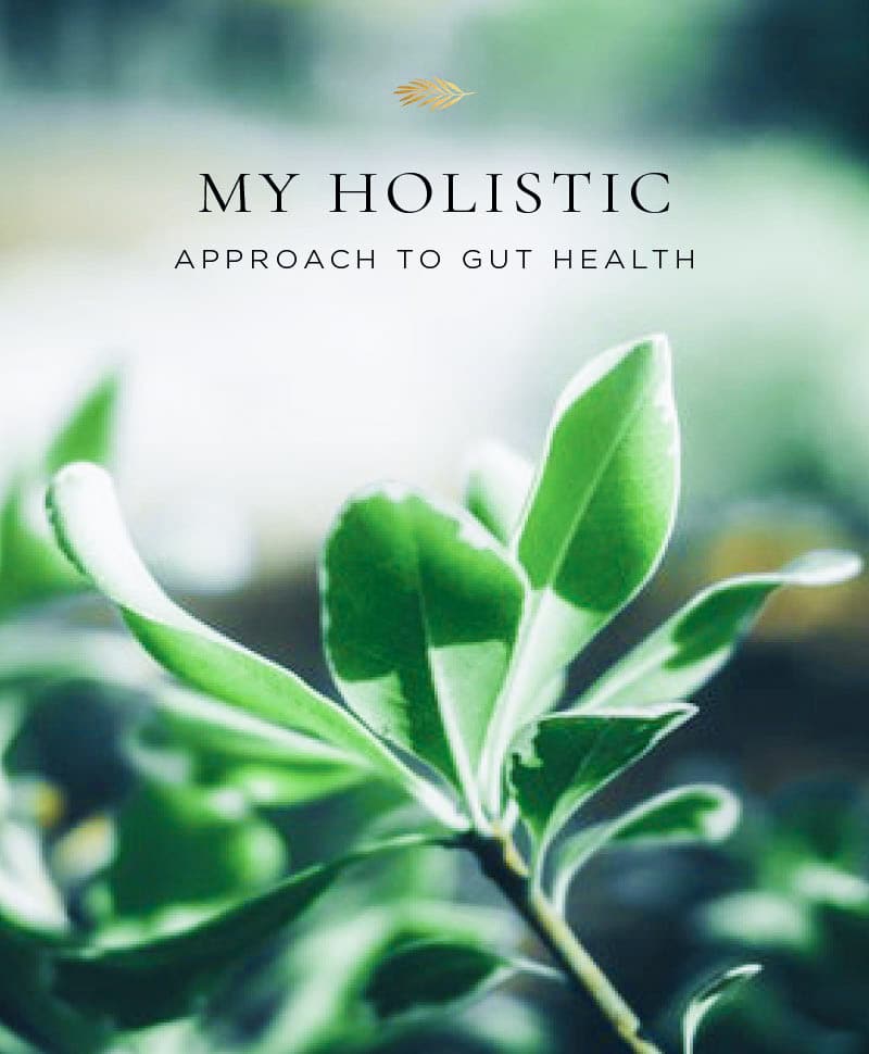 My holistic approach to gut health.