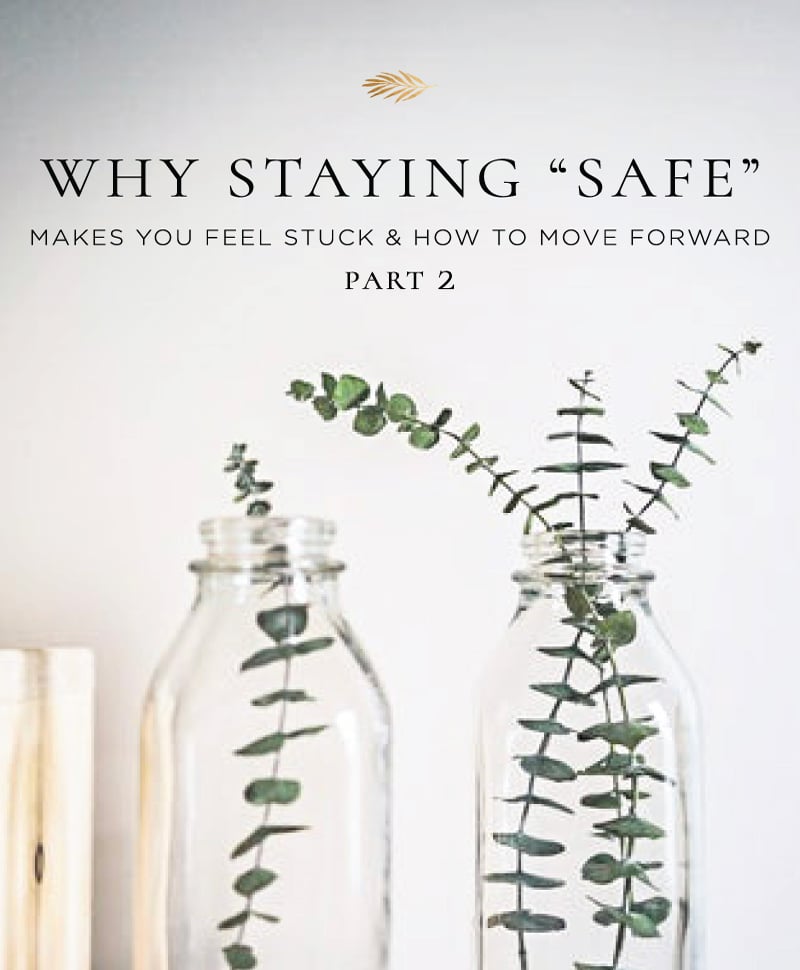 eucalyptus plants in glass jars on a table.