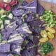 Whole-grain tortilla chips topped with fresh summer veggies and drizzled with an easy garlic tahini sauce.