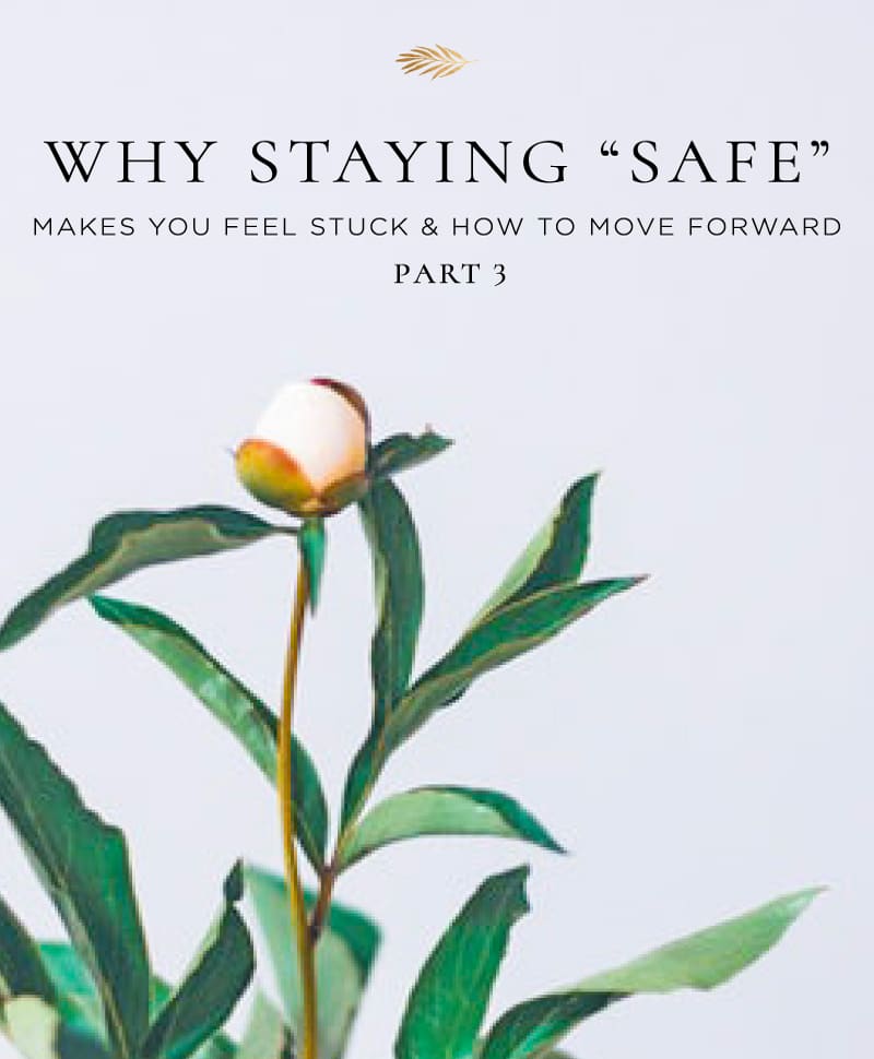 Beautiful flower budding in a vase.