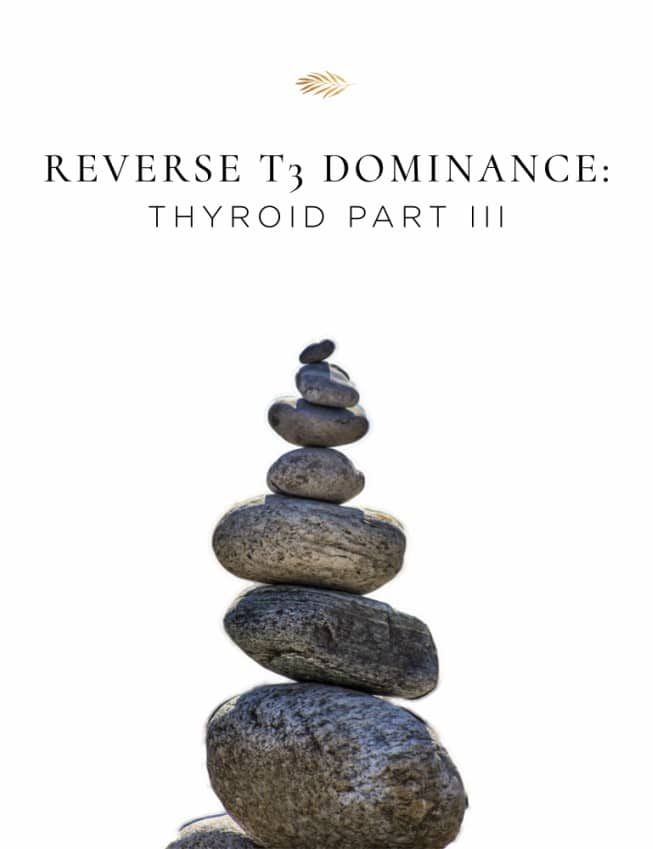 Understanding T3 Dominance and your thyroid.