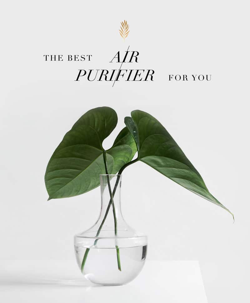 the best air purifier for your home