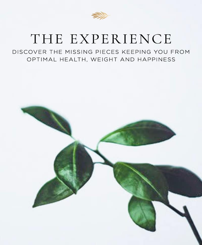 the experience: a retreat by amie valpone in north carolina