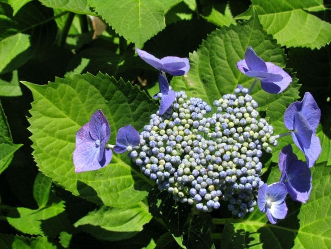 The Power of Vulnerability After Illness