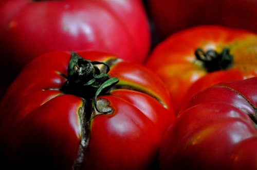 tomatoes5 Plump tomatoes