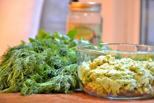 vegan-cauliflower-no-bean-hummus9